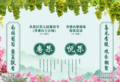 香印誘惑！從化區第七屆葡萄文化節開幕