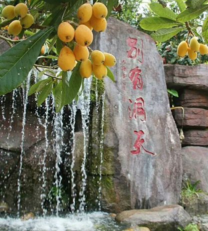 別有洞天